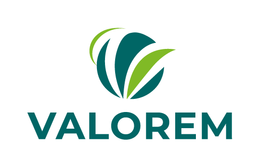 Logo Valorem